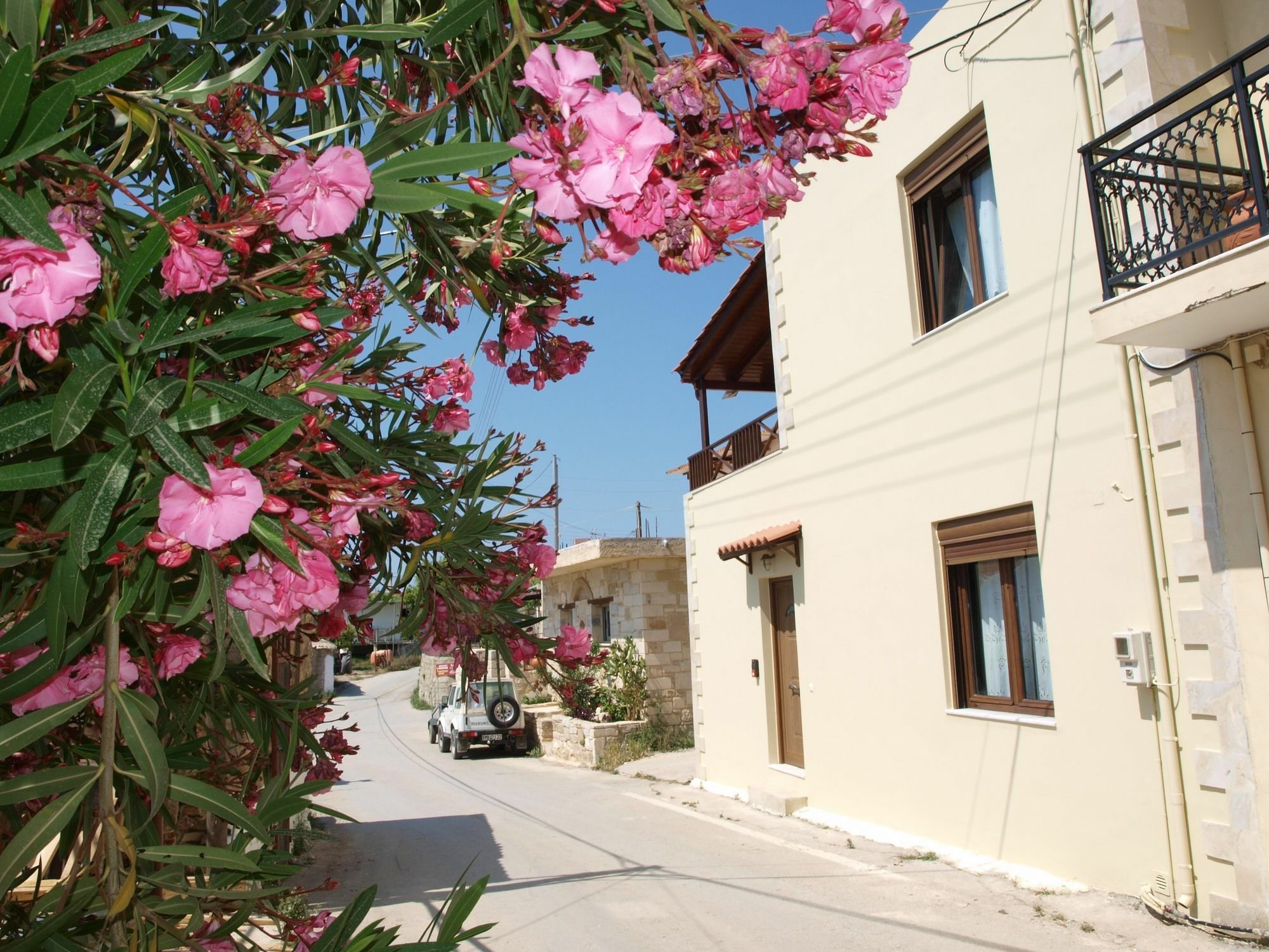 Villa Helidoni Pondikiana ภายนอก รูปภาพ